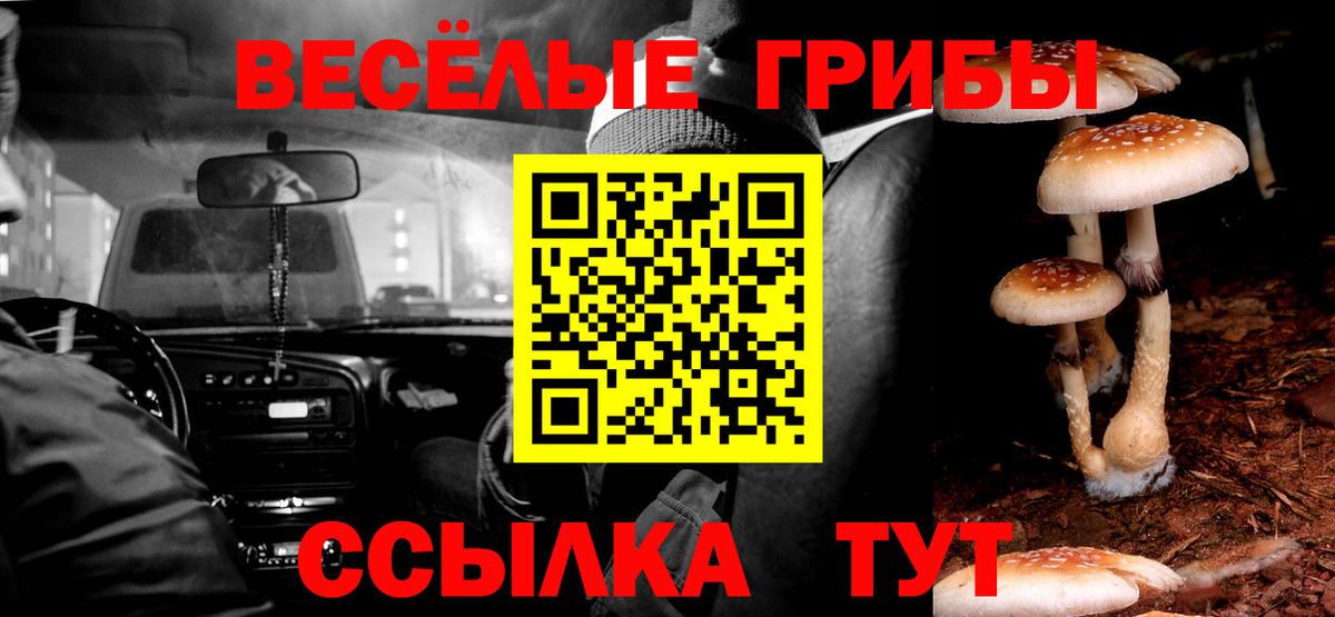 Псилоцибиновые грибы ЛСД Семёнов