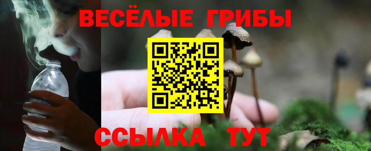 Псилоцибиновые грибы GOLDEN TEACHER  Вход с VPN  Галлюциногенные грибы MAGIC MUSHROOMS  Семёнов 